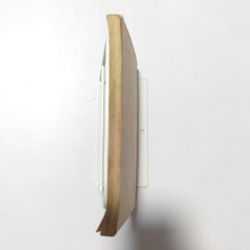 我在埃及的间谋活动:一版一印