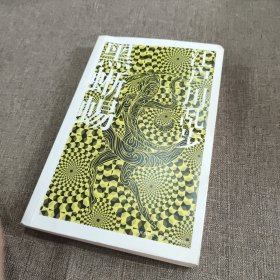 黑蜥蜴