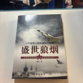 盛世狼烟：一个空军上校的国防沉思录