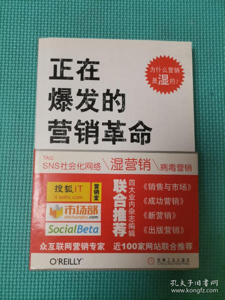 正在爆发的营销革命：社会化网络营销指南