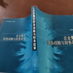 企业集团财务战略与财务政策