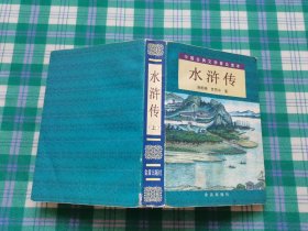 中国古典文学普及读本：水浒传（上 ）