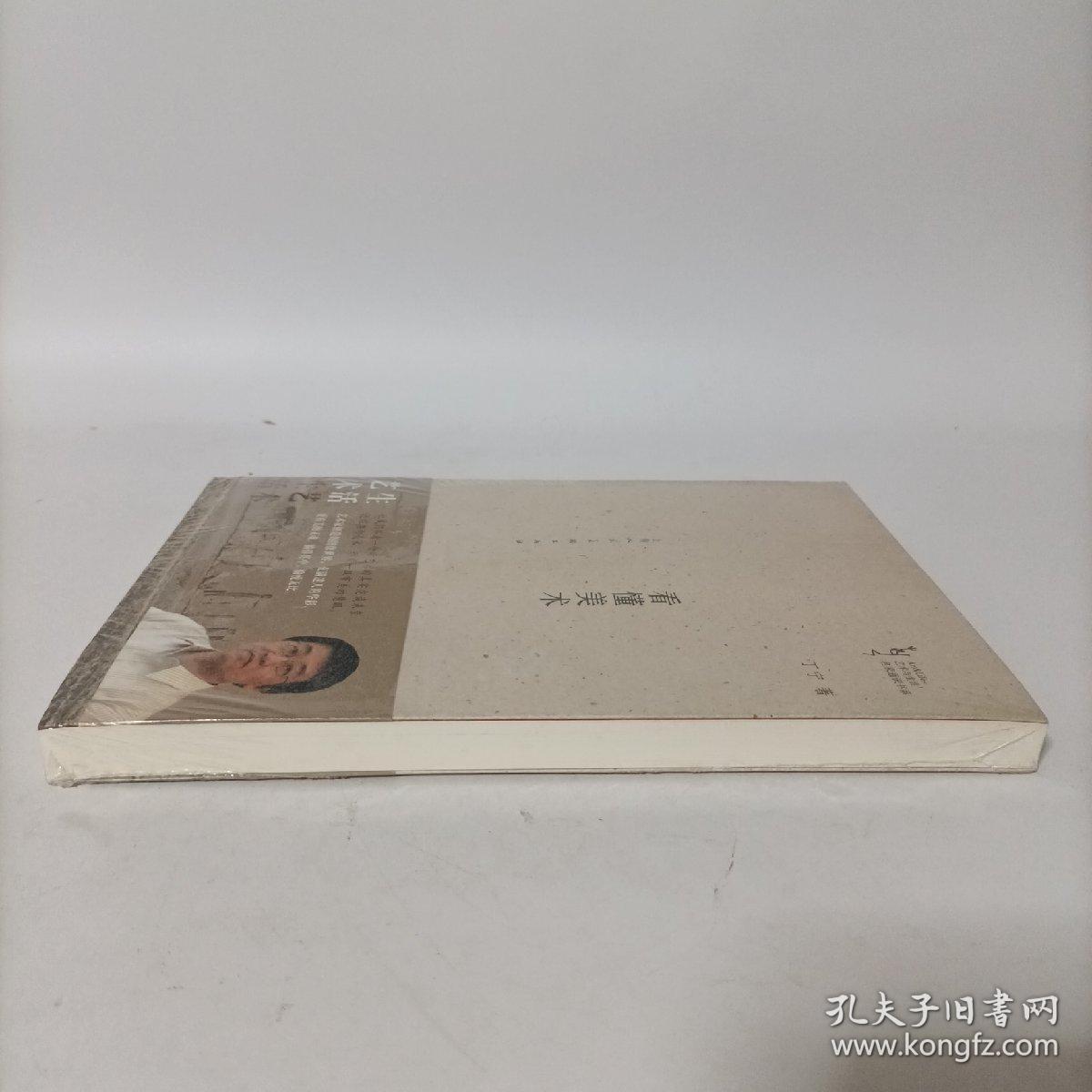 看懂美术(艺术与生活名家通识书系)塑封新书