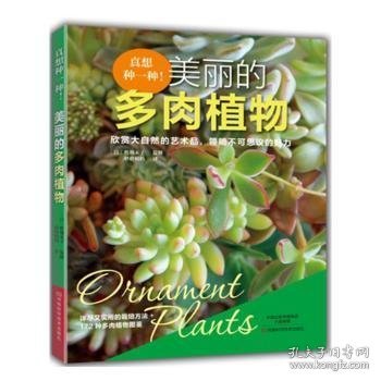 真想种一种！美丽的多肉植物