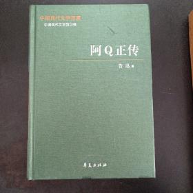 中国现代文学百家——鲁迅代表作 上：阿Q正传——m2