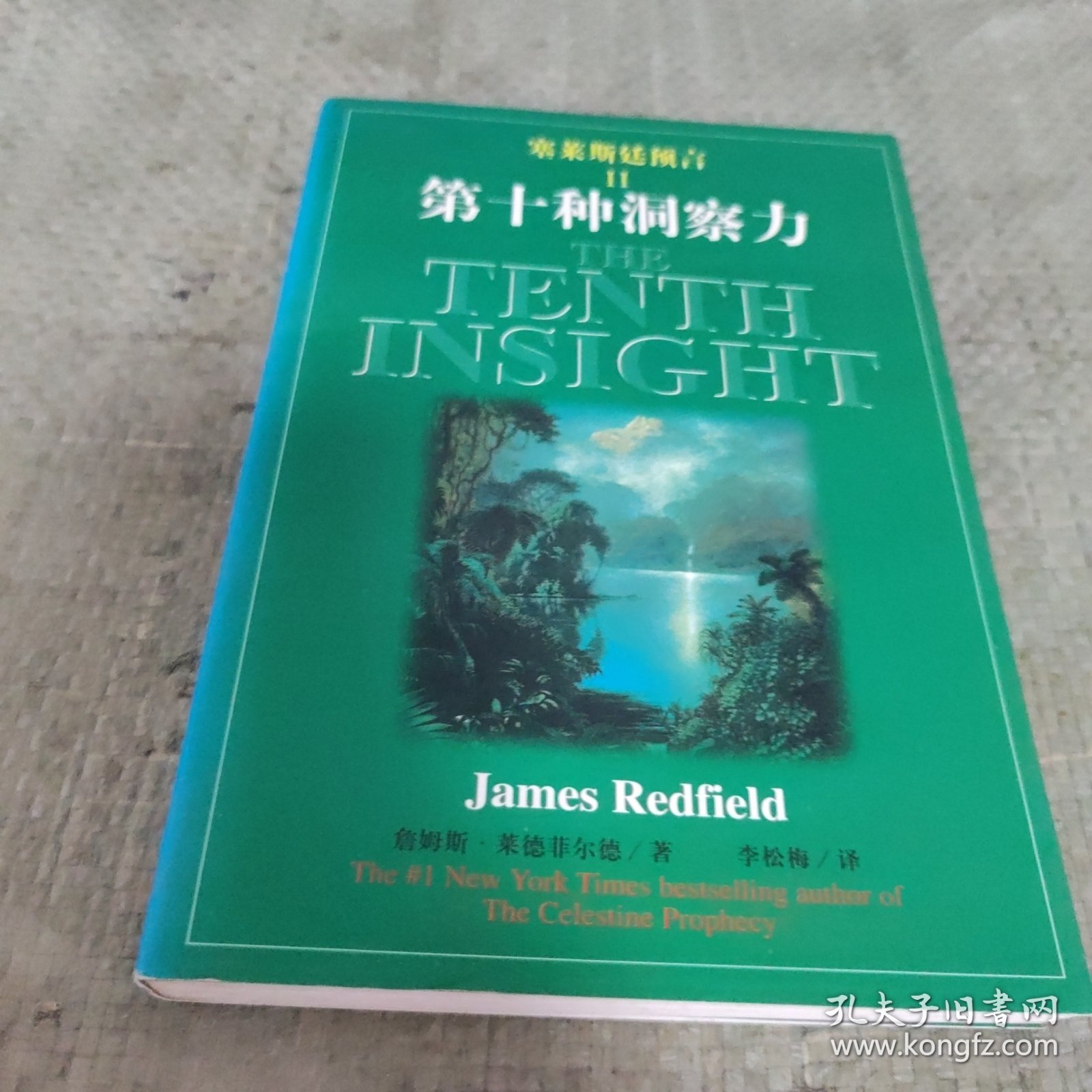 塞莱斯廷预言Ⅱ第十种洞察力