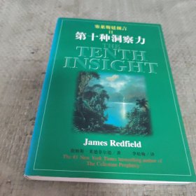 塞莱斯廷预言Ⅱ第十种洞察力