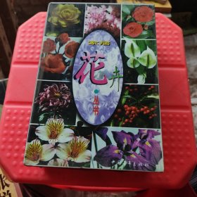 家庭花卉丛书 全10册