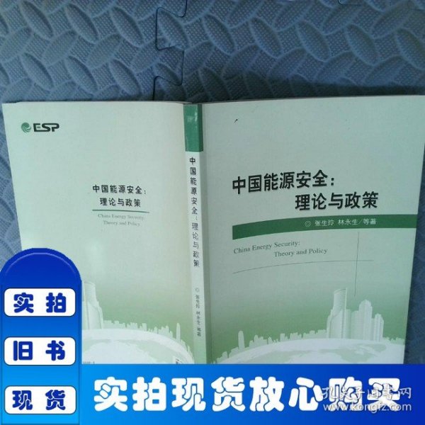 中国能源安全：理论与政策