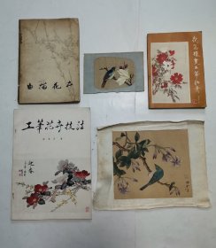 手绘绢画-工笔花鸟，工笔雀枝玉兰贴画【附赠4本-工笔花卉技法，我怎样画工笔牡丹，白描花卉，双勾花鸟】