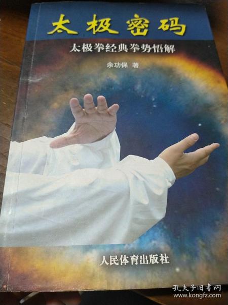 太极密码：太极拳经典拳势悟解