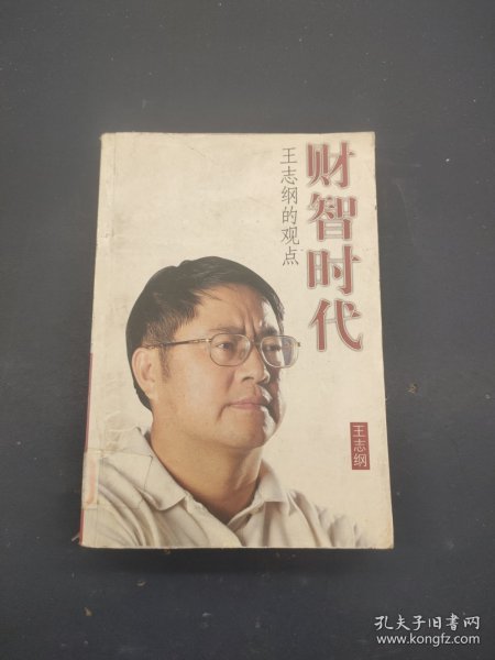 财智时代（王志纲）