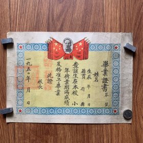 毕业证书1950年 黑龙江望奎县（27*19.5厘米）