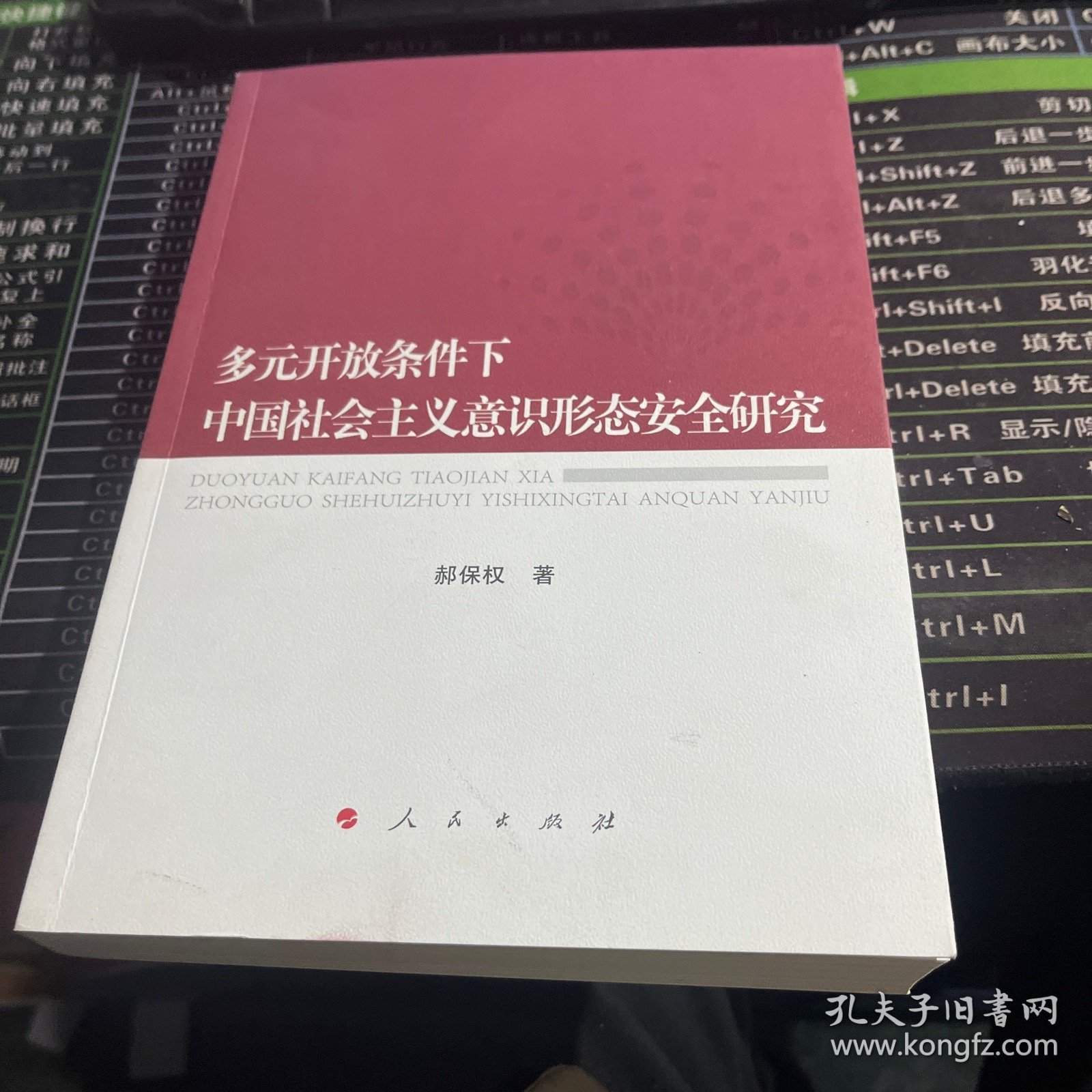 多元开放条件下中国社会主义意识形态安全研究