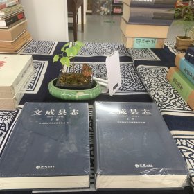 文成县志(1991-2011上下)(精)