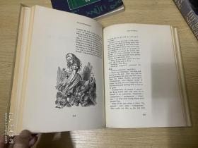 The Annotated Alice:Alice‘s Adventures in WonderLand，Through the looking glass   刘易斯·卡罗尔《爱丽丝漫游奇境记》《爱丽丝镜中奇遇记》集注，著名插画家John Tenniel插图， 精装大16开，重超1公斤，1960年老版书