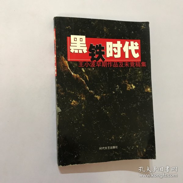 黑铁时代：王小波早期作品及未竟稿集