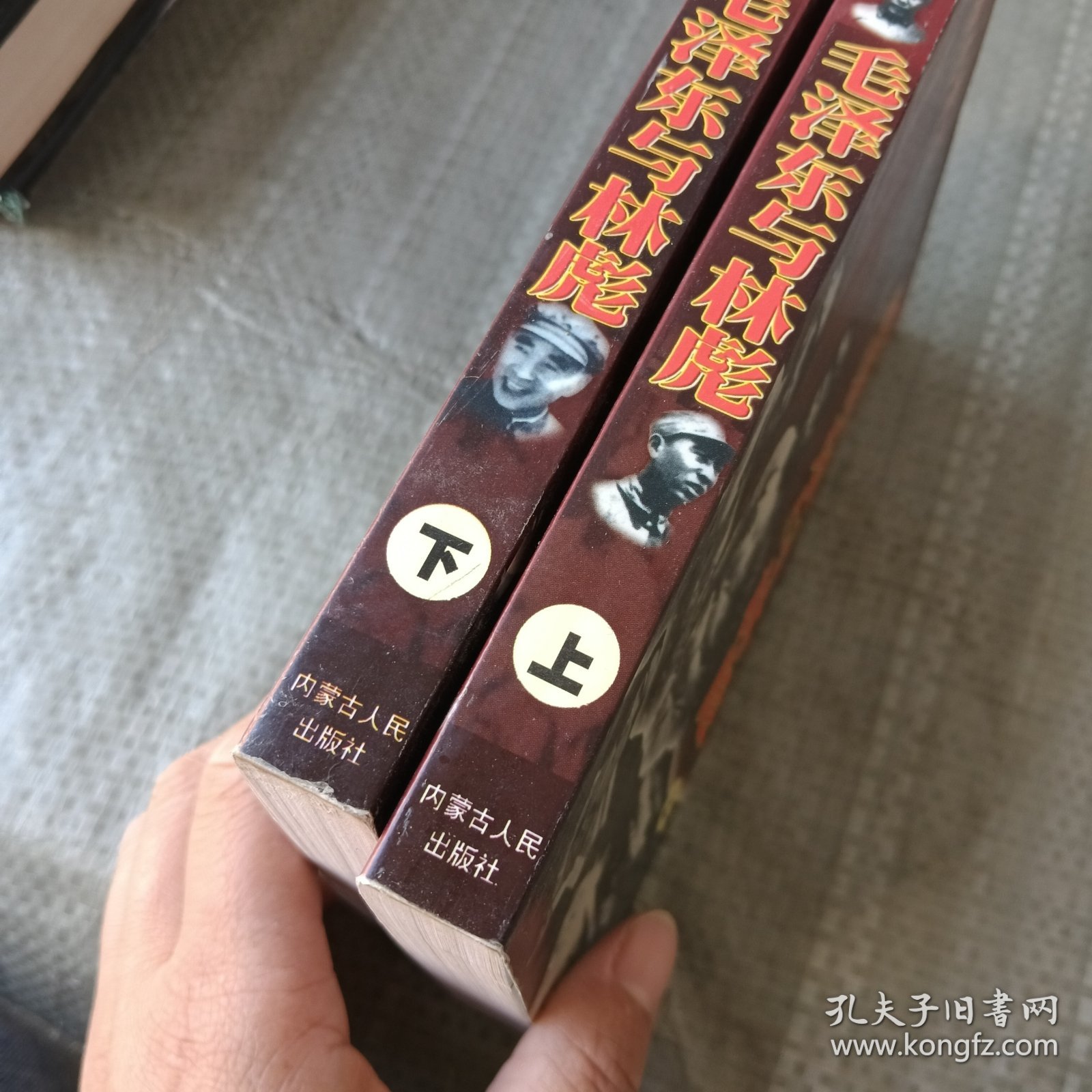 毛泽东与林彪 上下