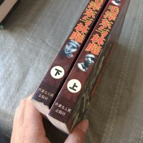 毛泽东与林彪 上下