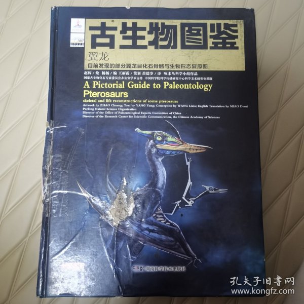 古生物图鉴：翼龙