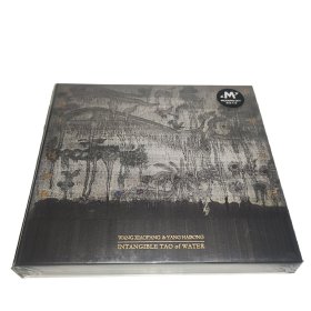 王晓芳/杨海崧 水道无形(CD)2024年专辑 摩登天空发行 正版全新未拆