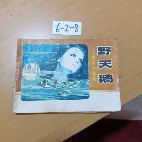 野天鵝 6-2-8