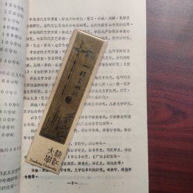 兰州大学中国语言文学系汉语言文学专业学时制教学方案（油印本，草案）