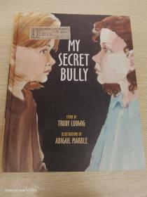 My Secret Bully