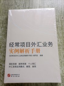 经常项目外汇业务实例解析手册