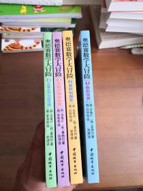 奥德赛数学大冒险. 1. 数的世界、2.面积和图形、3.方程式和未知数、4.从集合到勾股定理 （全四册）