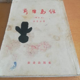 新牛马经