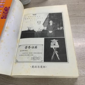 古街:首届老舍文学奖获奖作品