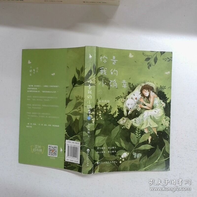 你是我的小确幸 上  东奔西顾著 百花洲文艺出版社