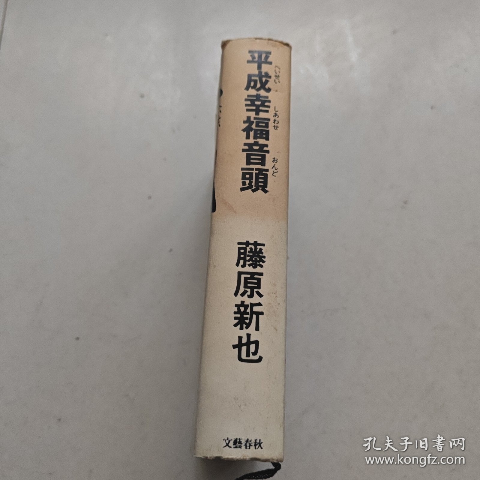 平成幸福音頭【藤原新也著 精装】