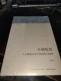 小镇喧嚣：一个乡镇政治运作的演绎与阐释