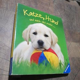 Katze，Hund