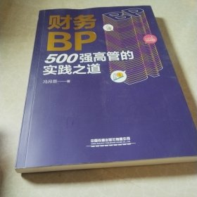 财务BP：500强高管的实践之道