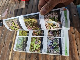 三江源生物多样性手册