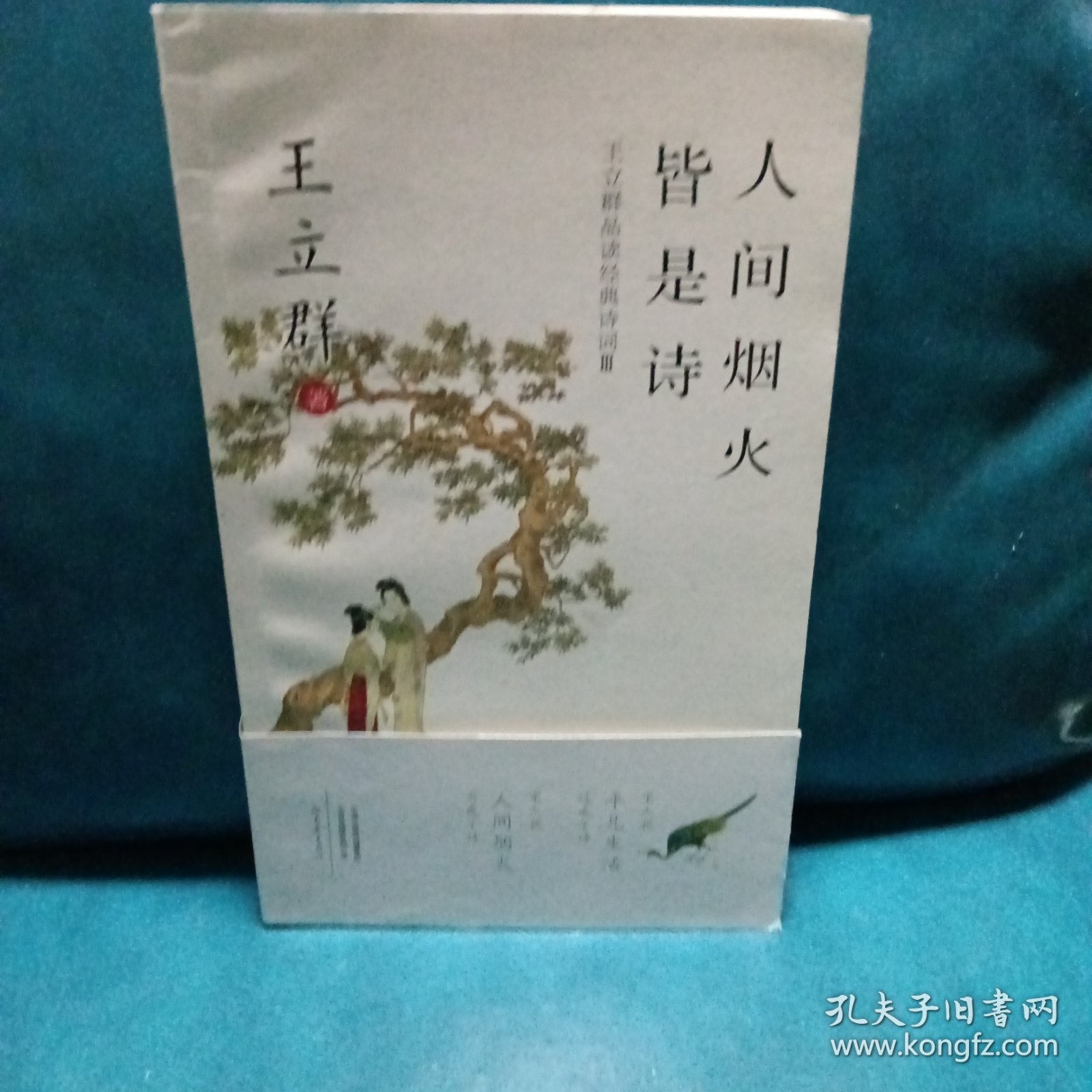 人间烟火皆是诗：王立群品读经典诗词Ⅲ