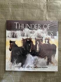 THUNDER OF THEMUS TANGS（英文）