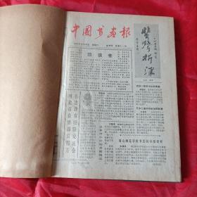 中国书画报，试刊号，创刊号，精装合订本。