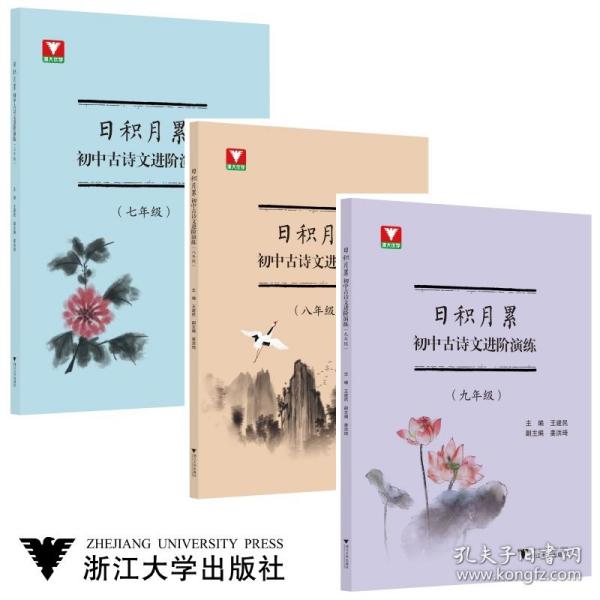 日积月累  初中古诗文进阶演练（九年级）