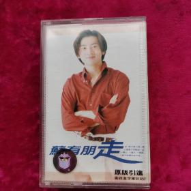 磁带 苏有朋走