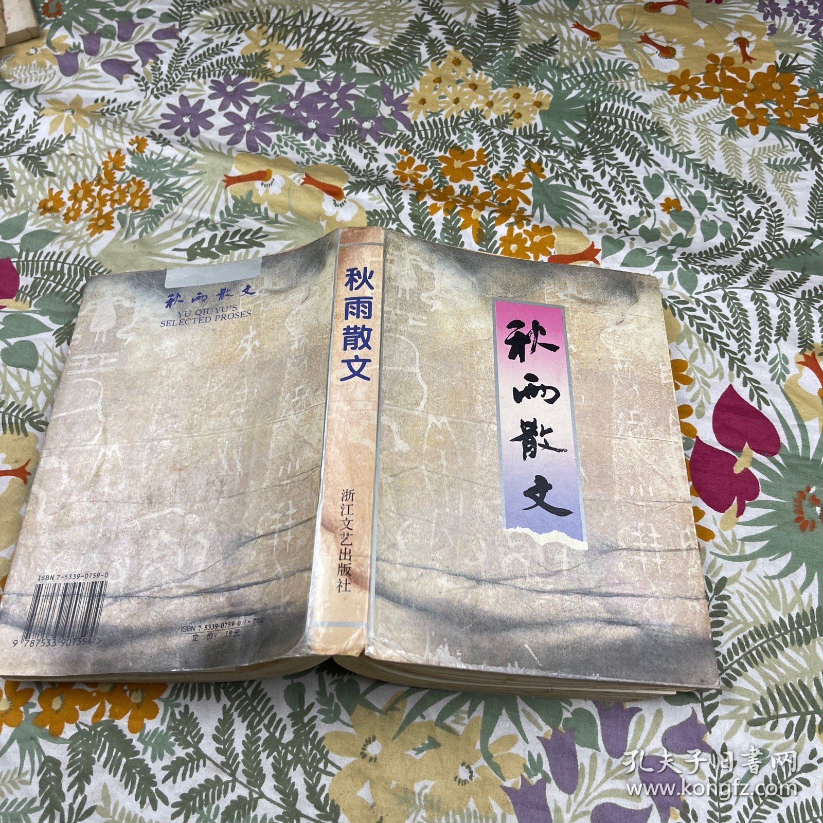 秋雨散文