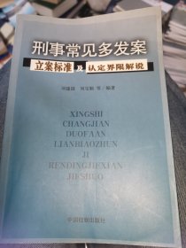 刑事常见多发案立案标准及认定界限解说