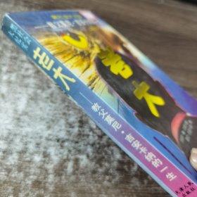 黑社会大纪实・老大――教父莫尼・吉安卡纳的一生