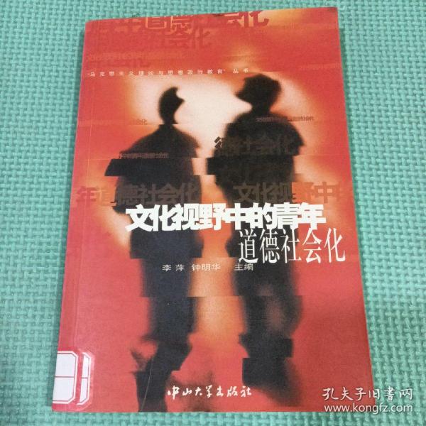 文化视野中的青年道德社会化/马克思主义理论与思想政治教育丛书