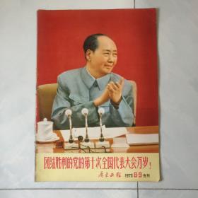 广东画报 1973.8.9合刊 见图