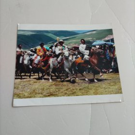 杨泽云艺术摄影：赛马场上（中国民间体育摄影大展）
