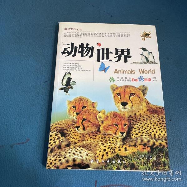 动物世界